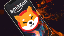 "Amazon SHIB Burner" Sets Record by Destroying Highest Monthly Amount This Year
