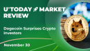 Dogecoin Surprises Crypto Investors: Crypto Market Review, Nov. 30