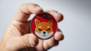 Shiba Inu: is it still worth investing in the altcoin meme?