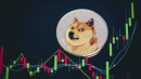 Dogecoin Solidifies Its Profitability as Rate Reaches 63%