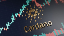 Cardano Ranks Among Top Staking Networks, Report Finds