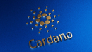 Leading Cardano DEX Suffers Front-Running Attack 