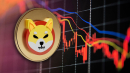 All Shiba Inu (SHIB) Indicators Are Flashing Red, But Is It That Bad?