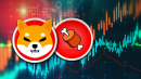 Shiba Inu's BONE Trading Volume Suddenly up 70%, This Might Be Reason