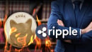 Shiba Inu: Pro Ripple Lawyer Comments on How Long It Might Take to Burn Enormous SHIB Supply