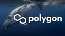 Millions of Polygon's MATIC Sold by Unknown Whale Hours Before Price Fall
