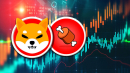 Shiba Inu Rival SHIBONE INU up 57%, Here's Why This Growth Is Different