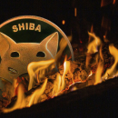 Millions of Shiba Inu (SHIB) Burned in Last 24 Hours as This Metric Also Spikes