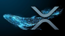 62 Million XRP Moved From Binance as Billions in Crypto Keep Outflowing After CFTC Strikes