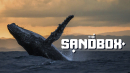 409 Million SAND Tokens Moved by Mysterious Sandbox Whale: Details
