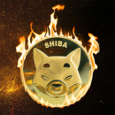 More Than 8 Million Shiba Inu Tokens Burnt as Meme Coin Takes Breather, Here Are Next Moves to Watch