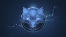 Shiba Inu (SHIB) Saw 700% Increase in Transactions Number: What's Happening?