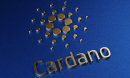 Cardano Outperforms Ethereum in Recent Crypto Development Activity