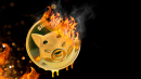 Billions of SHIB Burned Within Past 7 Days As Shiba Inu Price Attempts to Recover
