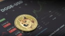Dogecoin (DOGE) Surpasses BTC and ETH in This Key Metric: Details