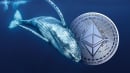 Ethereum Whales Dropped All of Their Holdings: Bull Market Postponed?