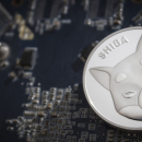 Shiba Inu (SHIB) 'Calm Before Storm' Updates Revealed by Shiba Ecosystem Official