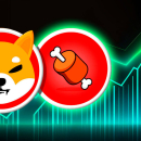 Shiba Inu: BONE Surprises With 50% Gain in Millionaire Addresses