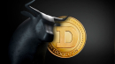 Dogecoin Dev Slams 'Bull Market' Prophets, Here's Why