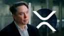 Elon Musk's Tweet Sparks XRP Army's Enthusiasm: Details