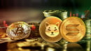 Shiba Inu (SHIB) and Solana (SOL) in Green as Bitcoin (BTC) Stalls