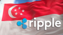 Ripple Bags License to Operate in Singapore
