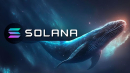 Solana (SOL) Risks Sell-off as Whale Makes Daring Move