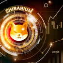 Shibarium Faces Moment of Truth in This Key Metric