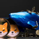 300 Billion Shiba Inu (SHIB) Received by Anonymous Whales: Who Is It?