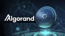Cardano Layer-2 Protocol Announces Concerning News for Algorand Users