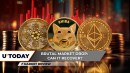 Ethereum (ETH) Secures $3,000, Cardano's (ADA) Dramatic Drop Irrelevant, Will Shiba Inu (SHIB) Recover After 30% Plunge?
