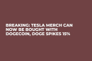 BREAKING: Tesla Merch Can Now Be Bought with Dogecoin, DOGE Spikes 15%