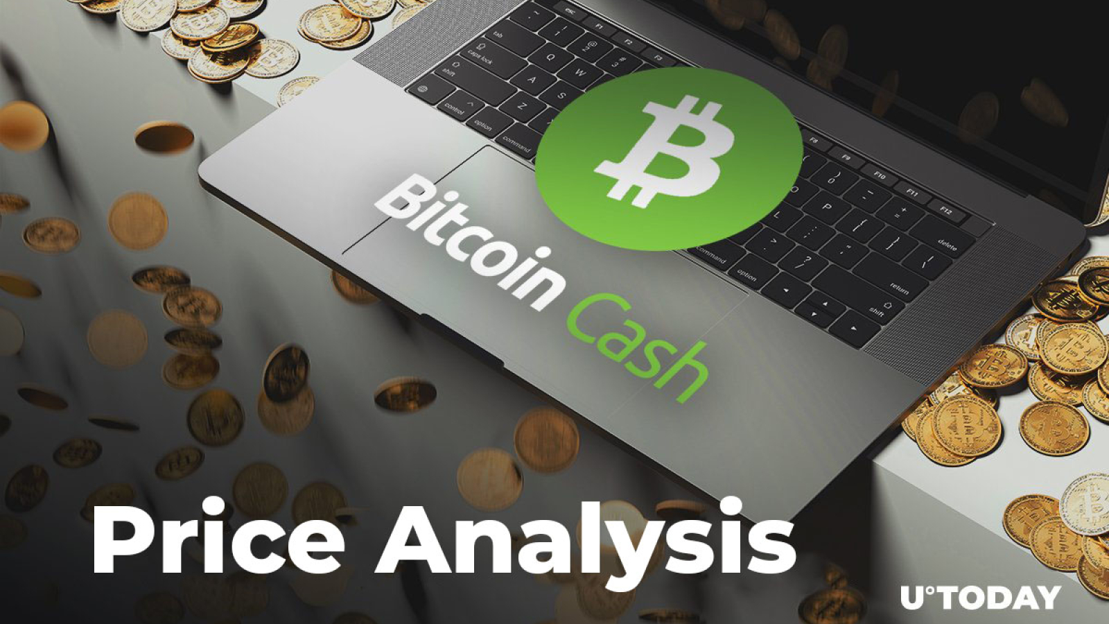 Bitcoin Cash Price Analysis How Much Might Bch Cost In 2019 2020 - 