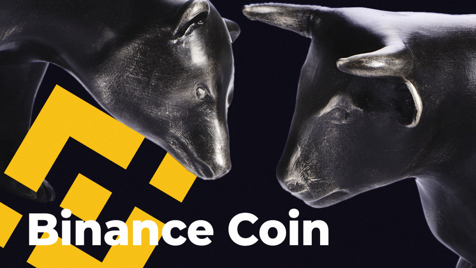 Bnb Binance Logo - Binance Coin Price Today Bnb Marketcap ...