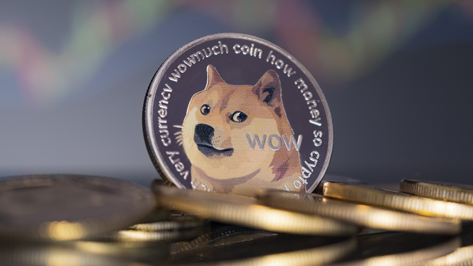 Former Dogecoin Millionaire Still Buys Dips Calls Doge His Savings Account Former Dogecoin Millionaire Still Buys Dips Calls Doge His Savings Account