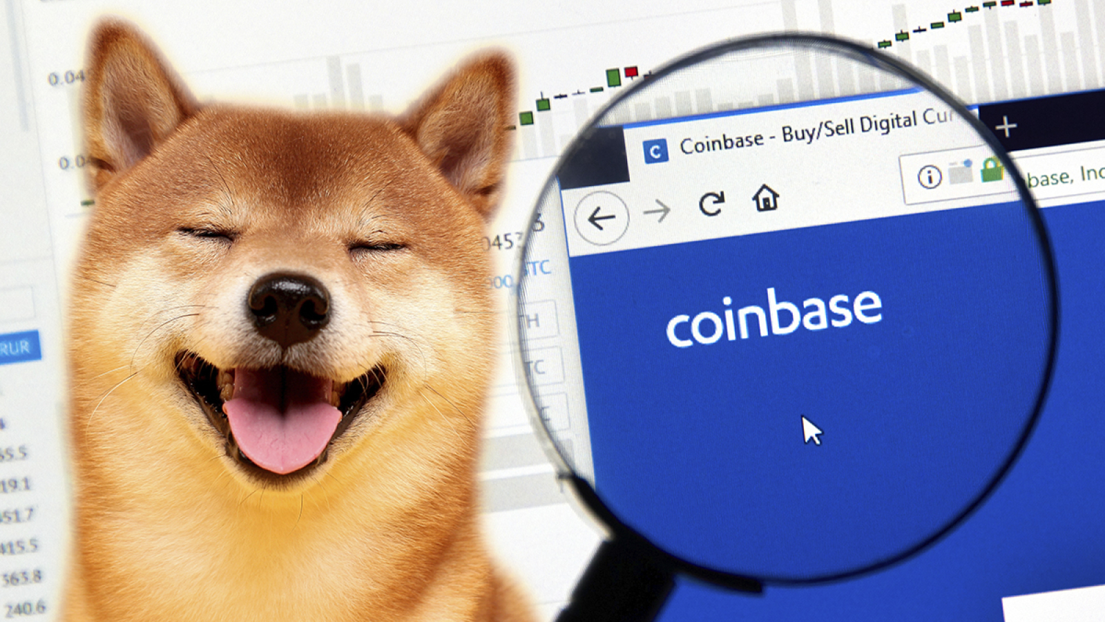 181 Million Worth Of Shiba Inu Tokens Mistakenly Appears In Coinbase Account Of Nascar Driver