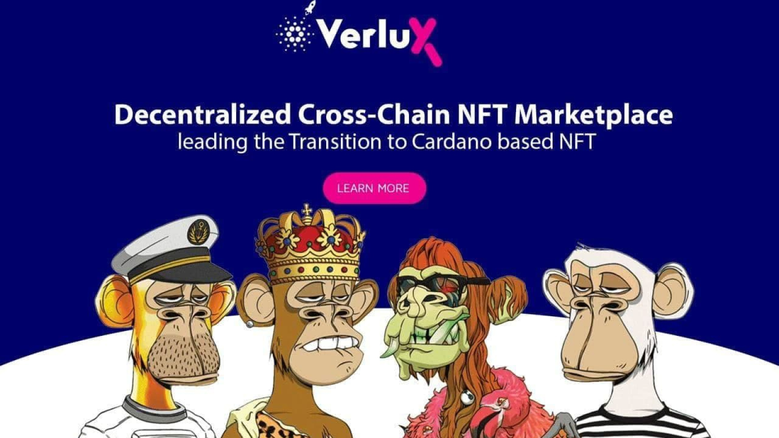 Verlux Cross-Chain NFT Marketplace Seed Sale Fills Up 30% Within Hours