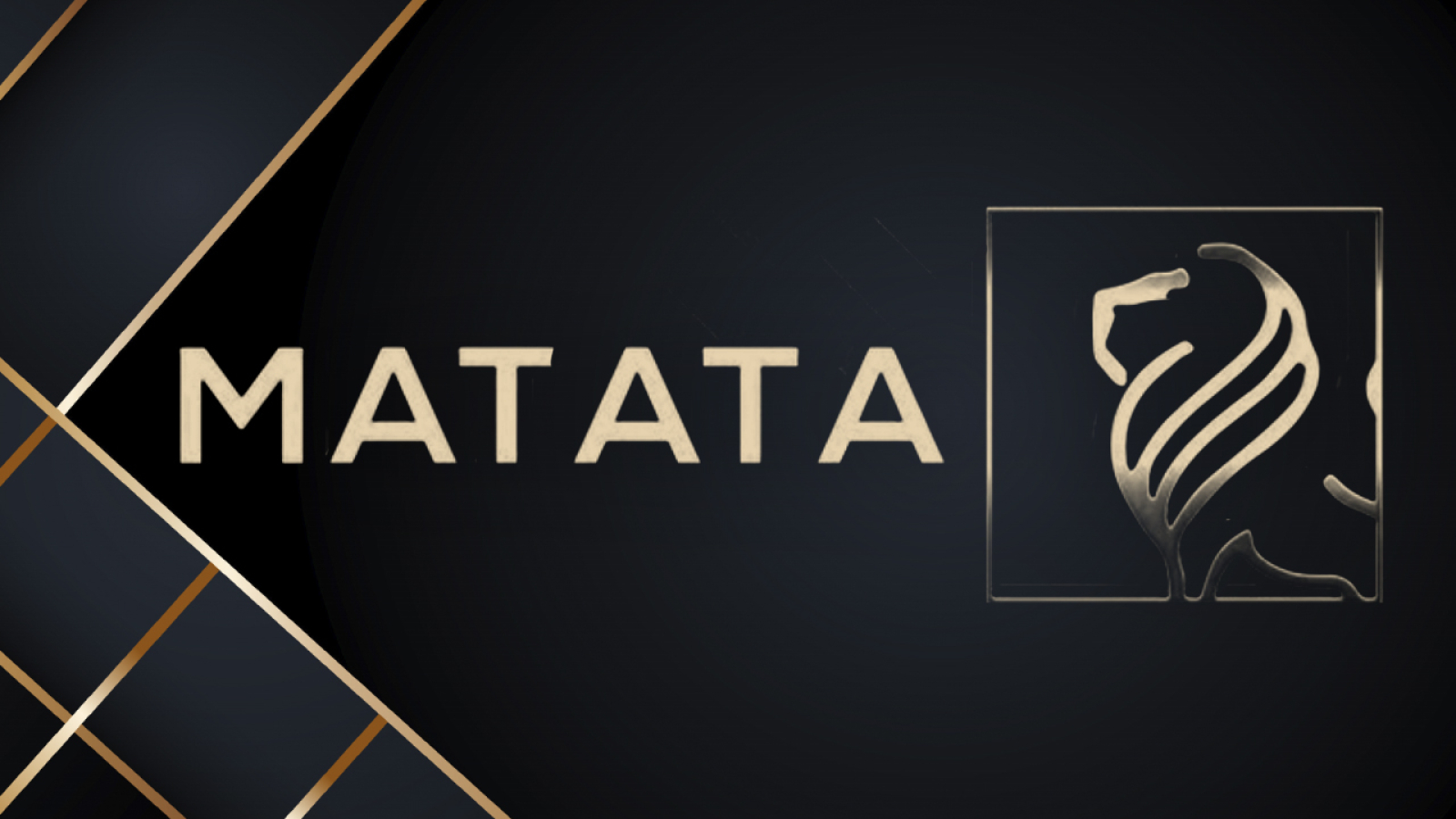 Hakuna Matata — Launches, Aims To Simplify Problems