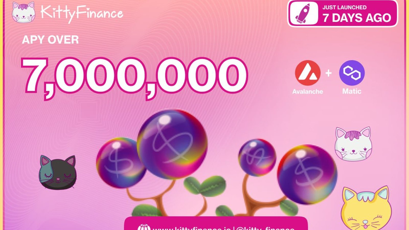 Tomb-inspired finance company Kitty Finance projected to reach over $50,000,000 TVL over the next 30 days