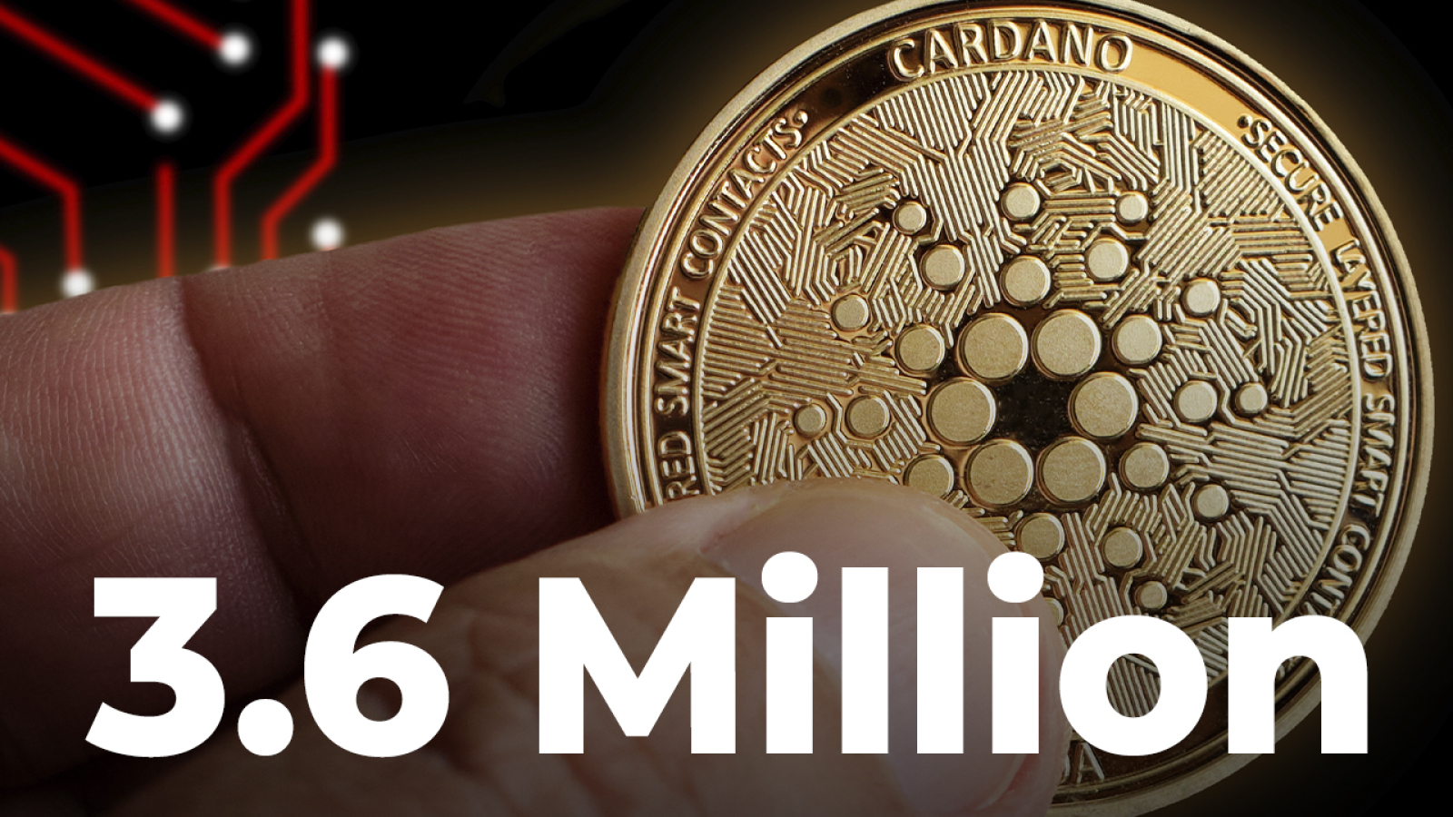 Cardano's Number of Holders Exceeds 3.6 Million as ADA Reaches Year's Bottom