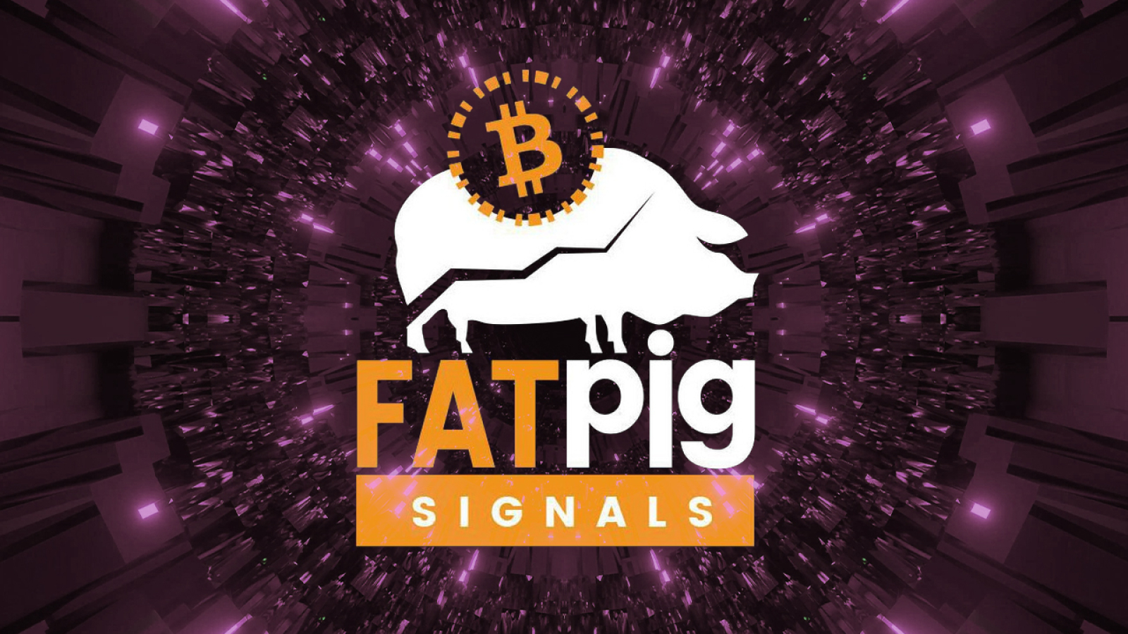 Fat Pig Signals Informs Its Members About Latest Changes on Crypto Market