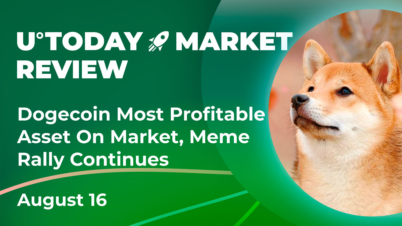 Dogecoin Most Profitable Asset on Market, Meme Rally Continues: Crypto  Market Review, August 16 - U.Today