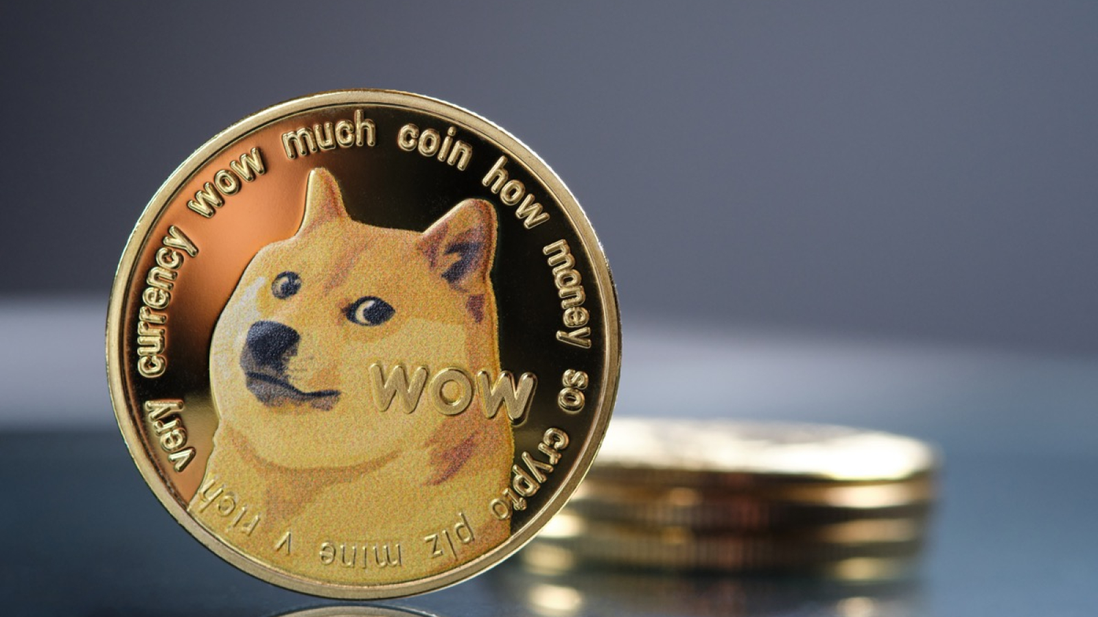 Dogecoin DOGE Price Suddenly Spikes 10 in Hours