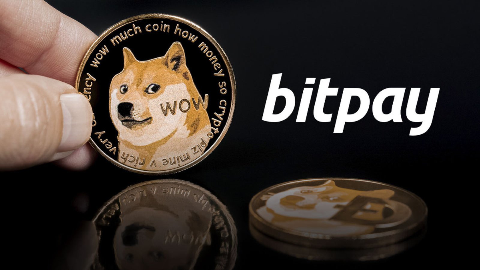 Dogecoin (DOGE) is now the fourth most popular cryptocurrency on BitPay