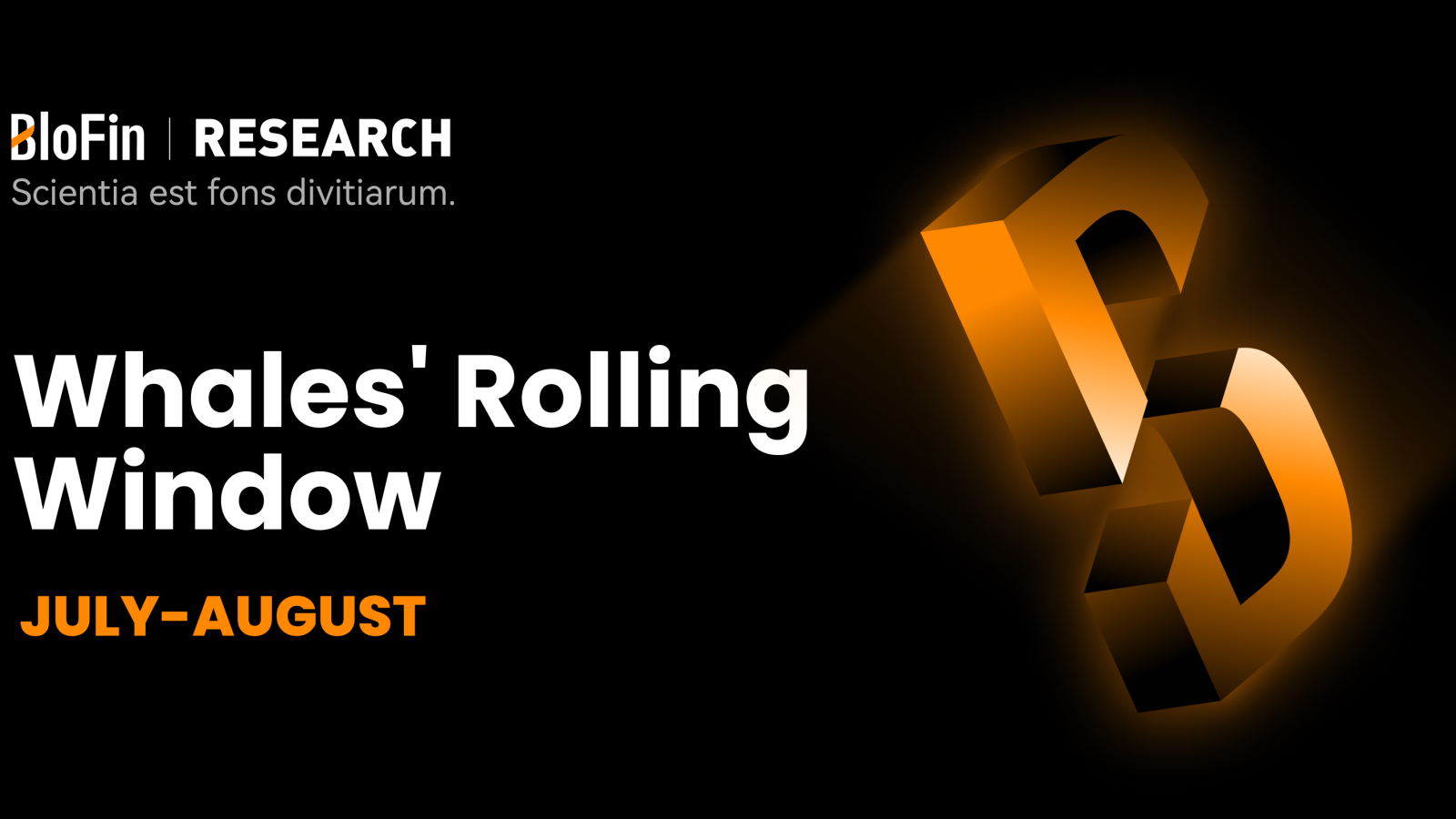 Whales' Rolling Window: Assassins, Rate Cuts and Portfolio Allocation