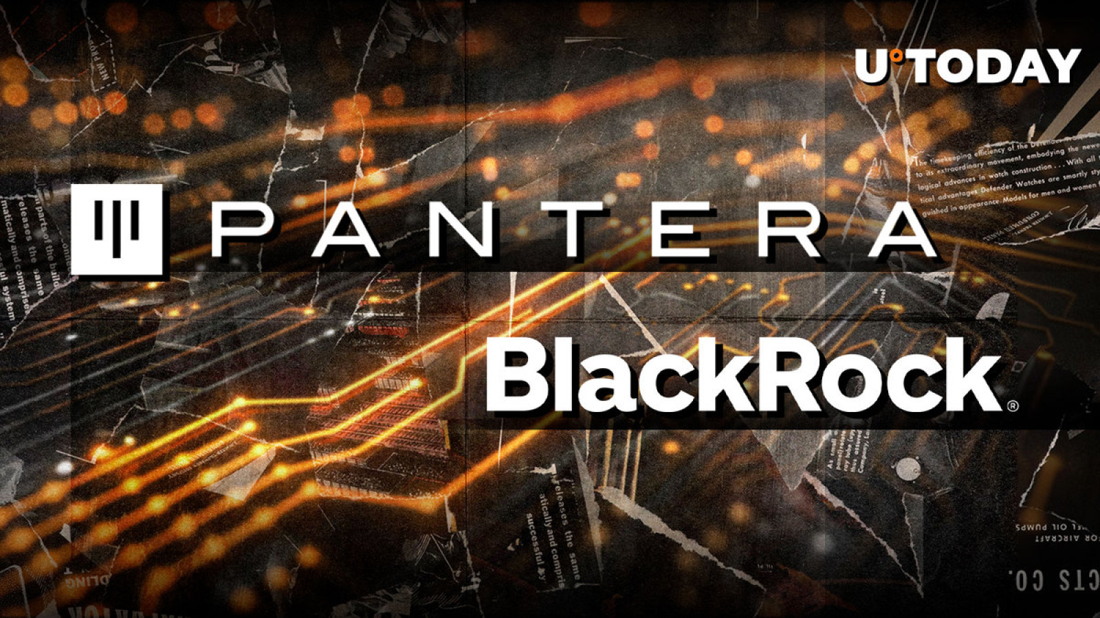 Former BlackRock Managing Director Joins Crypto VC Heavyweight Pantera  Capital - U.Today