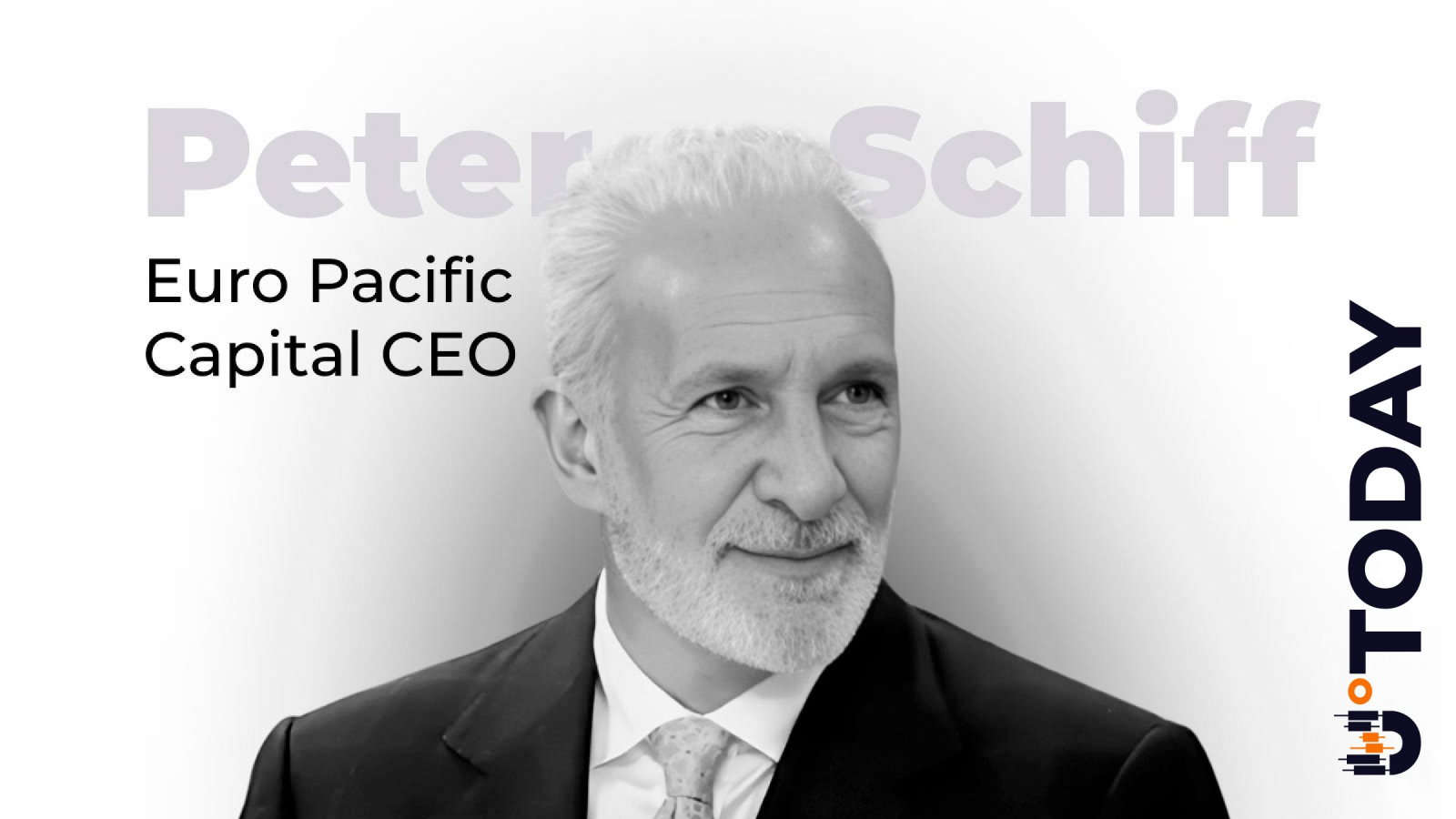Peter Schiff Admits MSTR Rising as Strategy Records $20 Billion BTC Gain -  U.Today