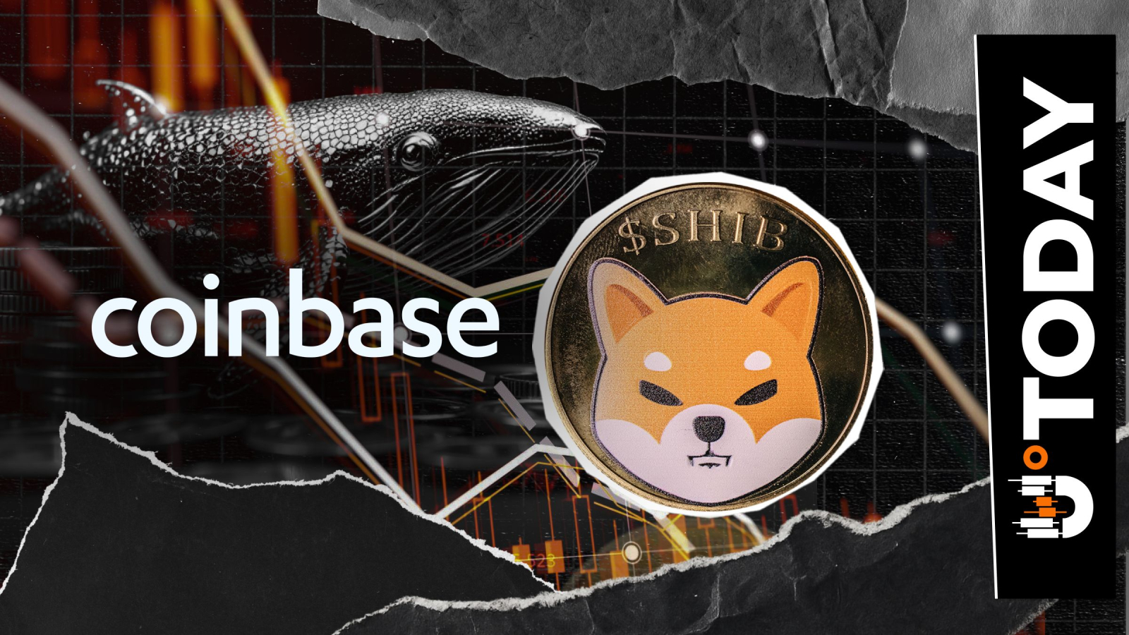 233,154,581,487 SHIB Whale Exits Coinbase Just 2 Days After Buying Shiba  Inu Coin - U.Today