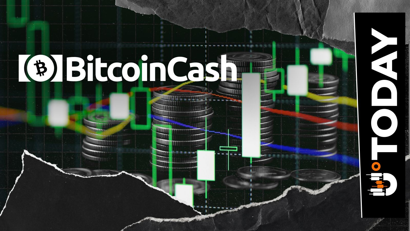Bitcoin Cash (BCH) Rockets 61,561% in Liquidation Imbalance, Price Reacts -  U.Today