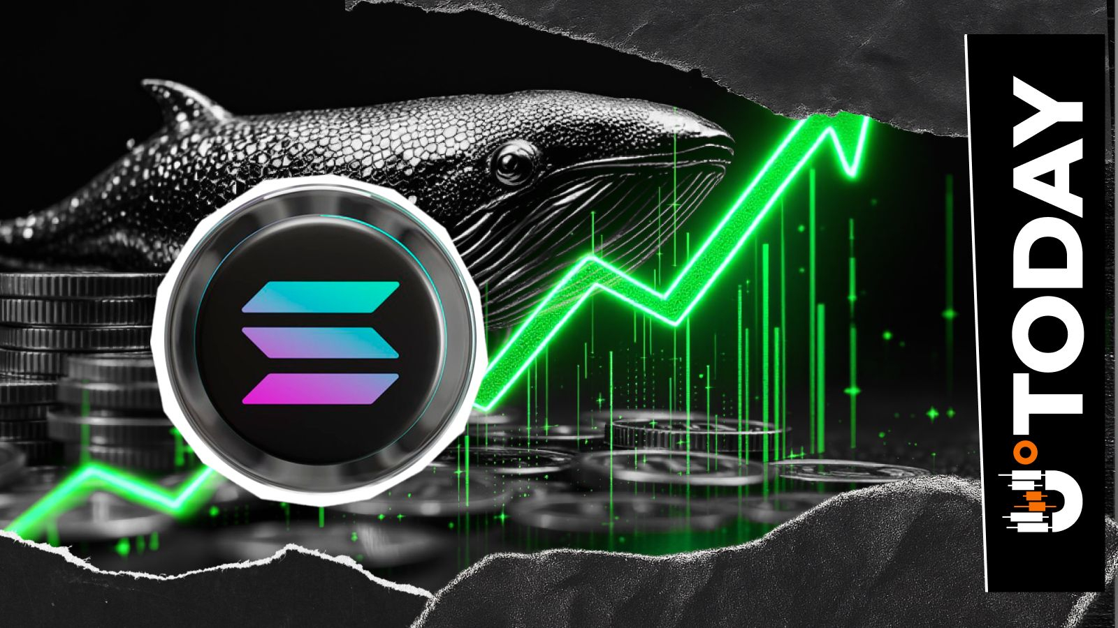 Dormant Solana Whale Awakens: 80,000 SOL Moved After 1 Year - U.Today